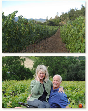 Visit Barrett vineyards in Calistoga, Napa Valley